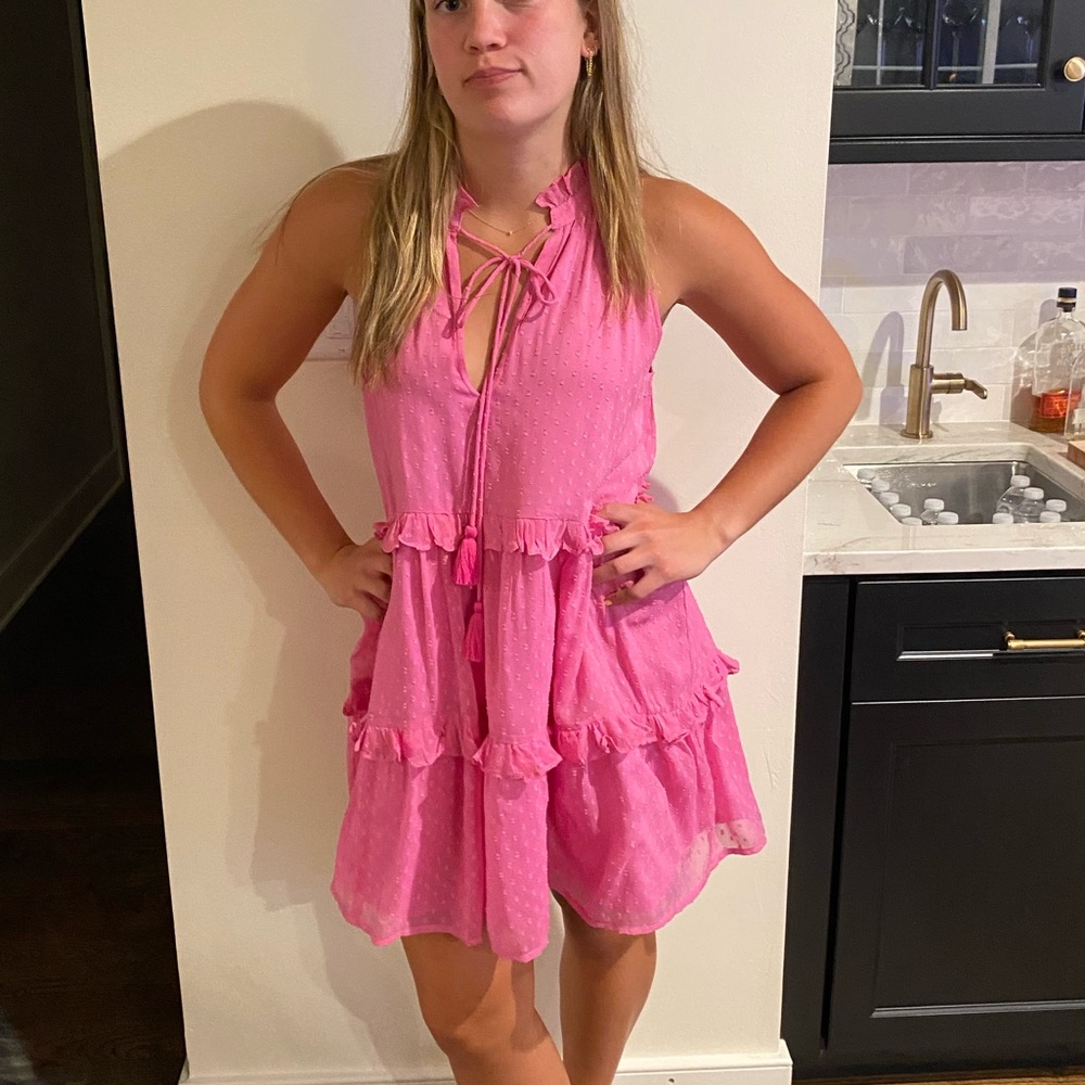 Roller Rabbit Pink Dress - Picture 5 of 11